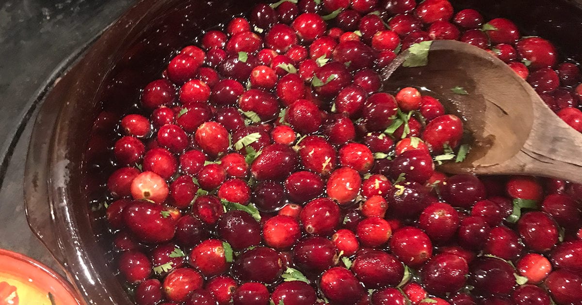 Whole Cranberry Sauce I See Spain Handcrafted Spanish Grater Plates 